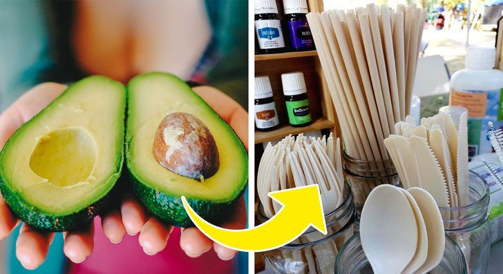 Phát minh tuyệt vời cho môi trường: Ý tưởng thiên tài trong thời đại rác nhựa lên ngôi