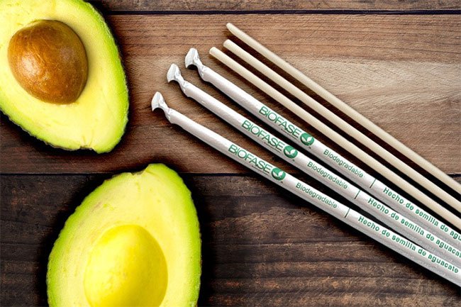 Phát minh tuyệt vời cho môi trường: Ý tưởng thiên tài trong thời đại rác nhựa lên ngôi