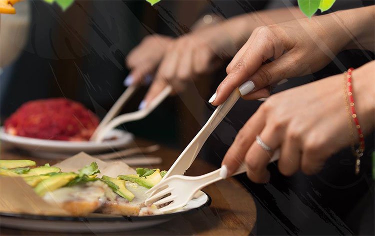 Phát minh tuyệt vời cho môi trường: Ý tưởng thiên tài trong thời đại rác nhựa lên ngôi