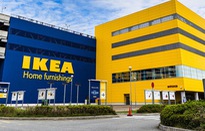 IKEA thử nghiệm dịch vụ cho thuê đồ đạc tại 30 thị trường