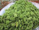 Bất ngờ loại rau đặc sản Việt đắt ngang cua hoàng đế, tôm hùm Mỹ