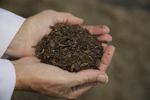 Bang đầu tiên của Mỹ cho phép sản xuất phân bón từ thi thể người chết