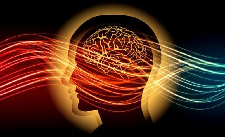 AI huỷ diệt hay làm loài người thông minh hơn