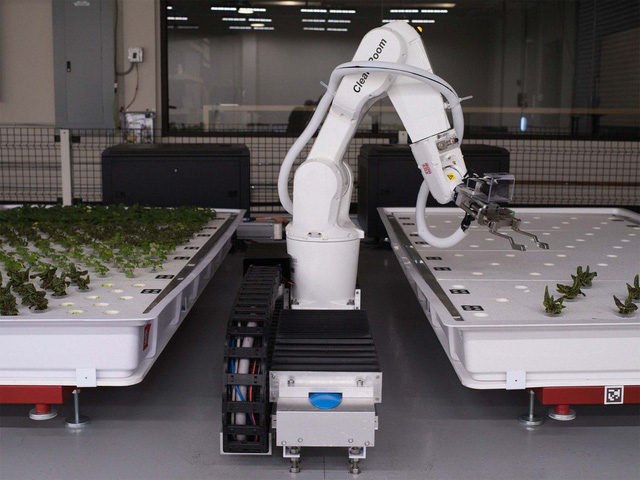 Robot trồng rau đưa cuộc sống viễn tưởng vào đời thực