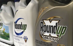Monsanto lại phải chi hơn 2 tỉ USD vì thuốc diệt cỏ gây ung thư