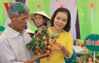 Ngày hội vải thiều 2019 tại Hải Dương