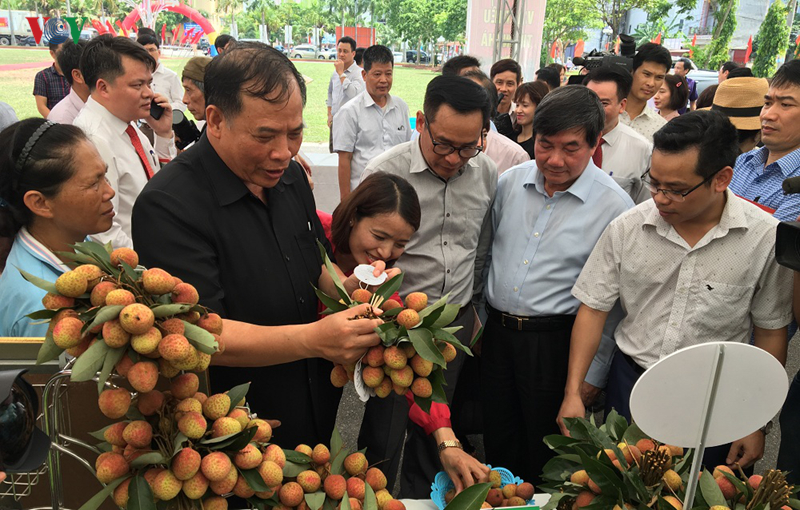 Ngày hội vải thiều 2019 tại Hải Dương