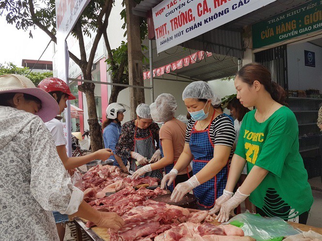 Cấp đông thịt lợn: Không phải khó mà quá khó!