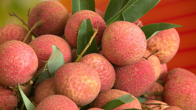 Tết Đoan Ngọ và những điều không phải ai cũng biết