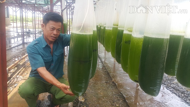 Chuyện lạ Thái Bình, chế ngàn lít nước xanh lè, rót bán hàng tỷ đồng