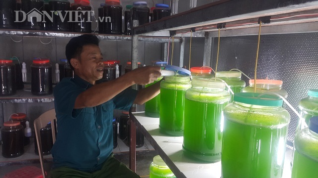 Chuyện lạ Thái Bình, chế ngàn lít nước xanh lè, rót bán hàng tỷ đồng