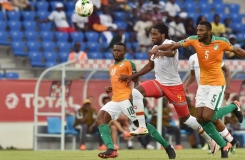 Lịch thi đấu tứ kết CAN Cup 2019: Voi châu Phi đại chiến Cáo sa mạc