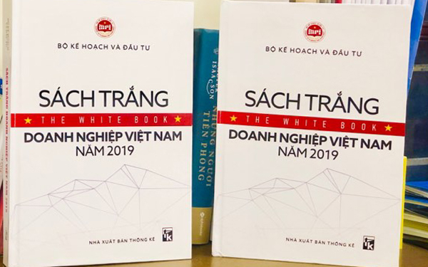 Lần đầu công bố Sách trắng Doanh nghiệp Việt Nam 2019