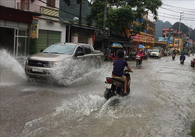 Mưa lớn gây ngập hơn 900 ngôi nhà, 1.000ha lúa và hoa màu