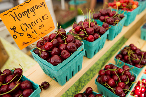 Cherry Mỹ ồ ạt về Việt Nam với giá rẻ
