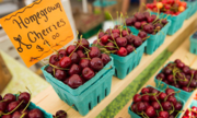 Cherry Mỹ ồ ạt về Việt Nam với giá rẻ