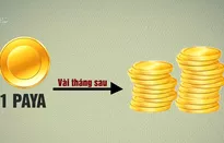 Cảnh báo đầu tư tiền ảo Paya cho thu nhập "khủng"