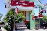 Kế toán phòng giao dịch Agribank giả chữ ký rút của khách gần 56 tỷ