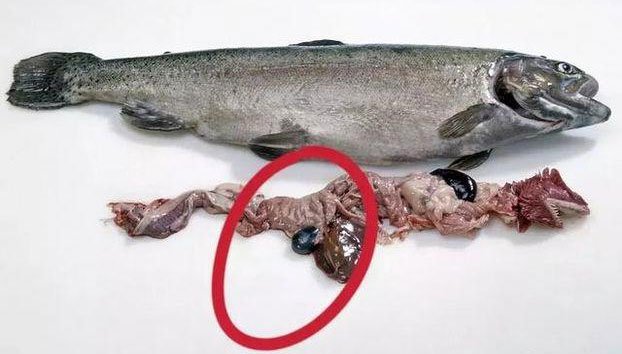 Chuyên gia tiết lộ 6 loại thịt ngon mấy cũng không nên ăn, có loại còn gây mất mạng
