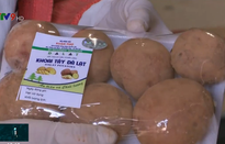 Gắn nhãn hiệu - Giải pháp chống mạo danh nông sản Đà Lạt