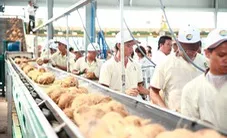 Tạo động lực bứt phá cho đặc sản dừa lên sàn thương mại điện tử