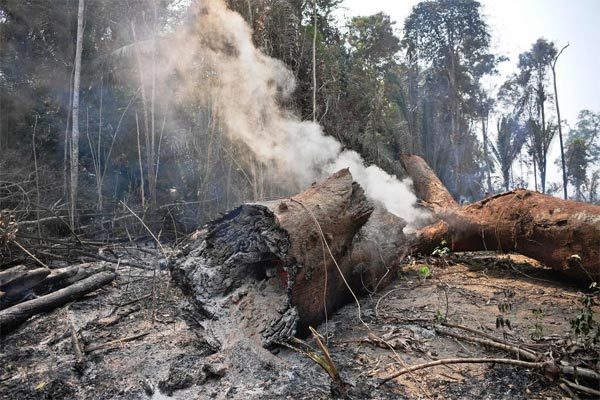 "Lá phổi thế giới" cháy dữ dội, Brazil điều hàng vạn lính dập lửa