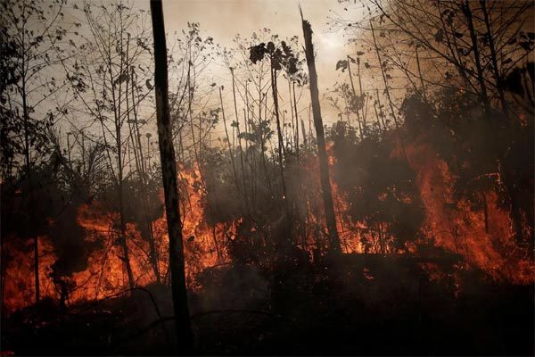 "Lá phổi thế giới" cháy dữ dội, Brazil điều hàng vạn lính dập lửa