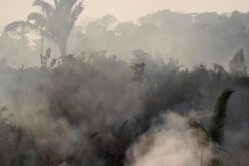 "Lá phổi thế giới" cháy dữ dội, Brazil điều hàng vạn lính dập lửa