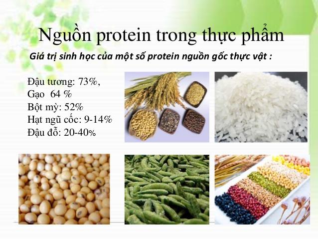 Nghiên cứu: Con người không được ‘thiết kế’ để ăn thịt
