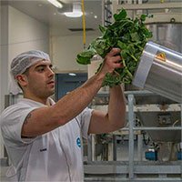 Australia biến "rác" súp lơ và bông cải xanh thành thảo dược