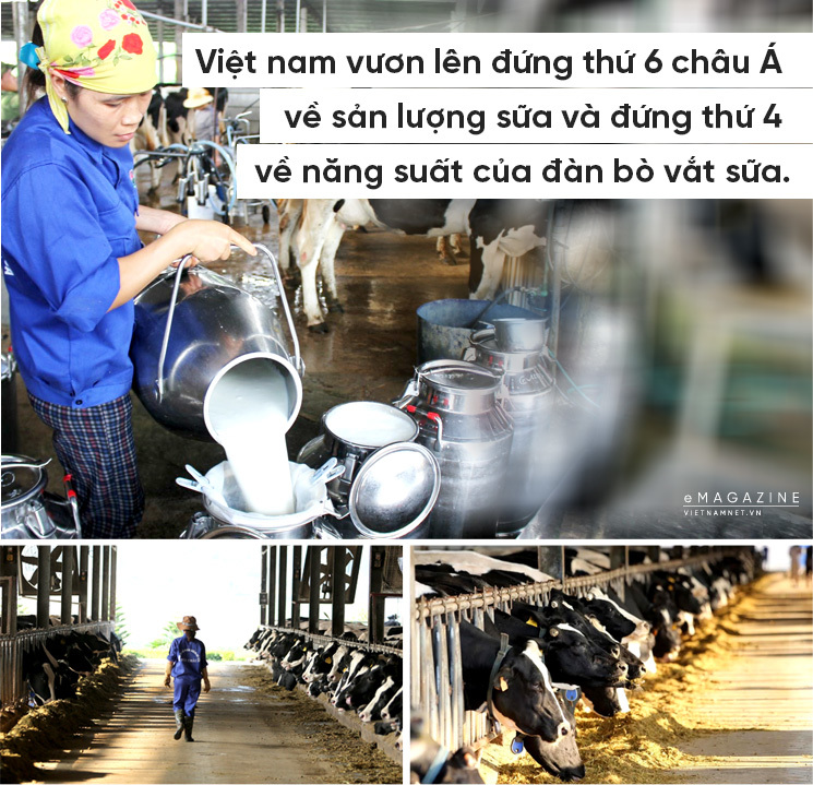 Việt Nam từ 1 nước thiếu sữa, ‘khát sữa’ đang tiến lên thành nước top đầu châu Á.