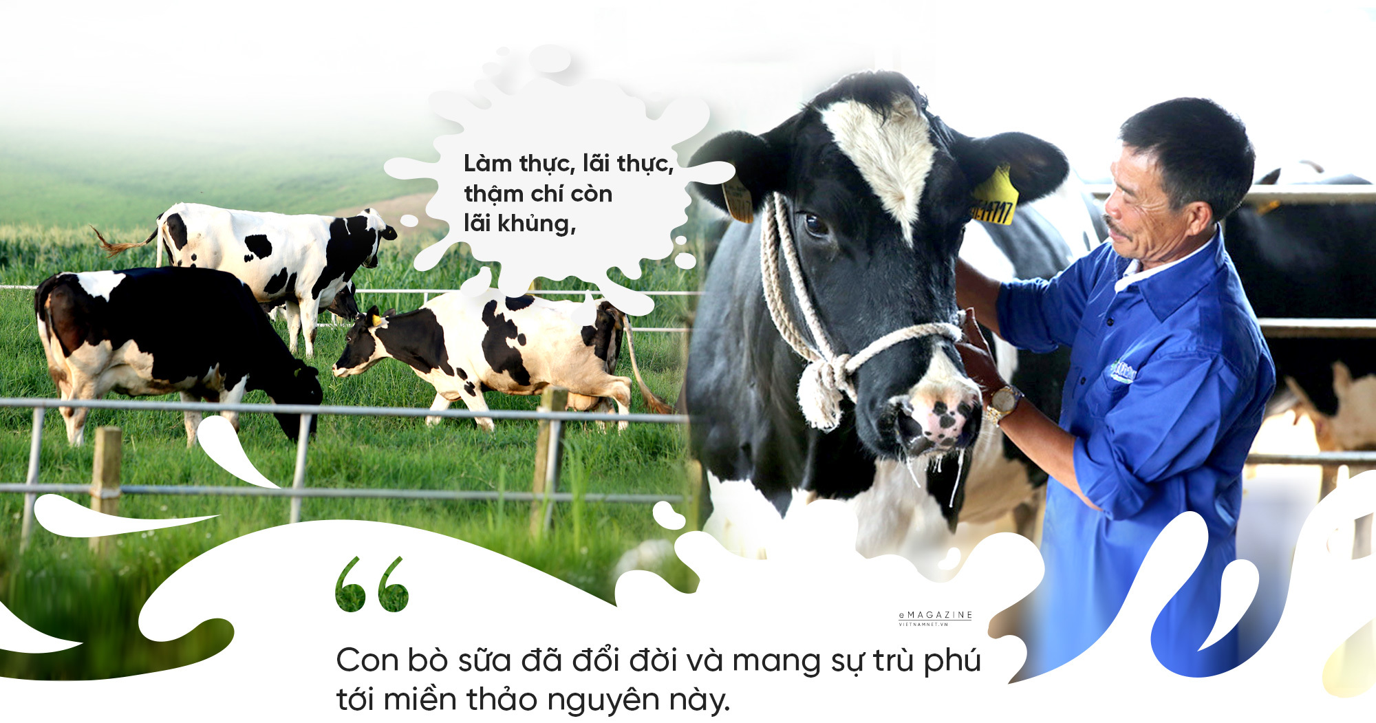 Việt Nam từ 1 nước thiếu sữa, ‘khát sữa’ đang tiến lên thành nước top đầu châu Á.