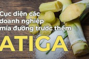 Áp lực nợ vay gần kề, Lasuco muốn thoái vốn Đường Nông Cống