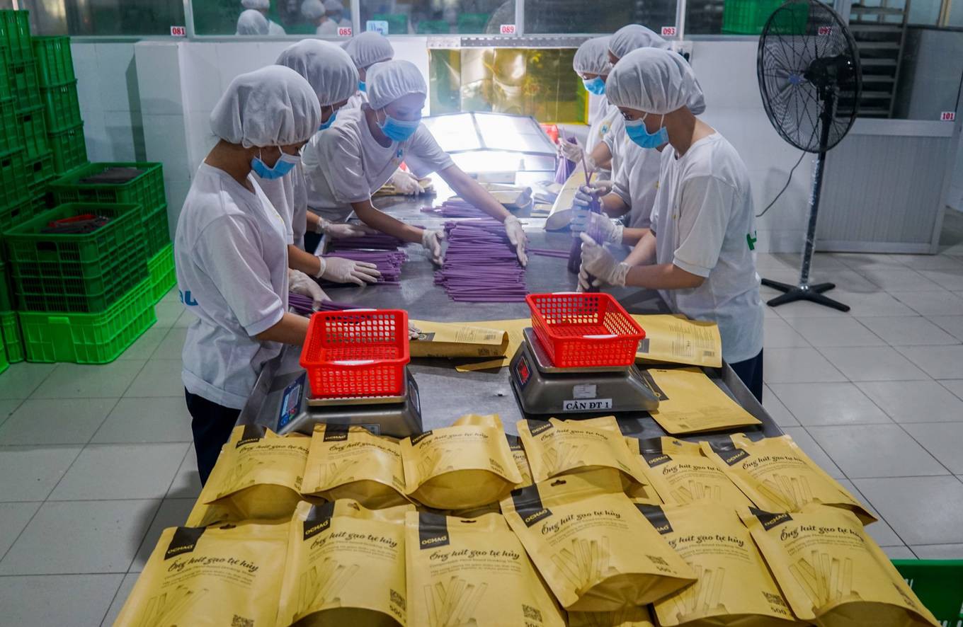 Sản xuất ống hút từ bột gạo ở miền Tây