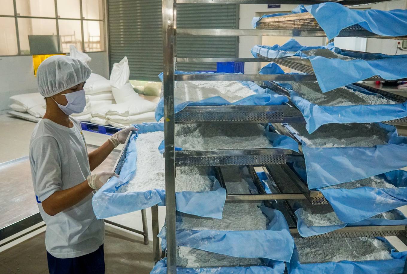 Sản xuất ống hút từ bột gạo ở miền Tây