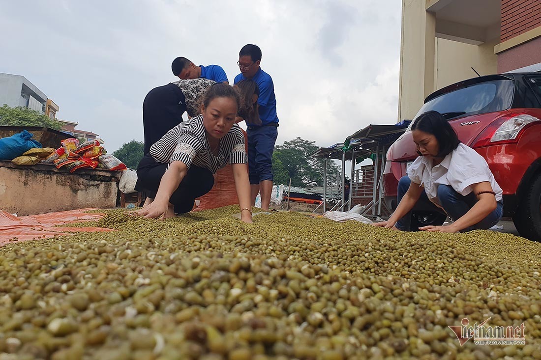 Chợ Vinh ngập chạm nóc, tiểu thương chết lặng vì mất tiền tỷ