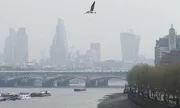 Hàng trăm người Anh đột quỵ vì ô nhiễm không khí