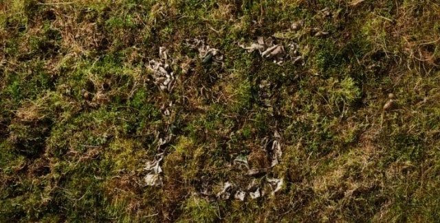 Chế tạo áo thun sinh học có thể phân hủy trong 12 tuần