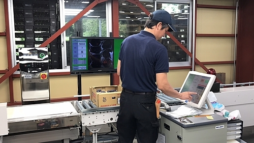 Cách nhà vườn Nhật sản xuất nho xa xỉ