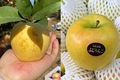 Táo vàng Trung Quốc gắn 'mác' Mỹ, Nhật