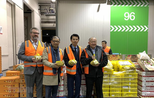 Trái cây Việt vào thị trường Australia: Cửa đã mở nhưng không dễ đi...