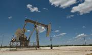 Giá dầu có thể giảm 30% nếu OPEC không giải cứu