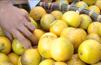 Cơ hội mua nông sản an toàn tại Tuần lễ Cam và Nông sản Hưng Yên 2019