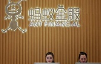 Alibaba mua cổ phần một ví điện tử Việt Nam