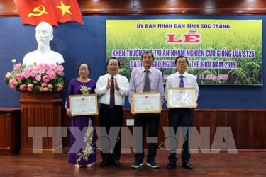 Bộ NNPTNT công nhận đặc cách giống lúa thơm ST25