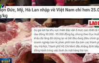 Thịt lợn Đức, Mỹ, Hà Lan nhập về Việt Nam chỉ hơn 25.000 đồng/kg