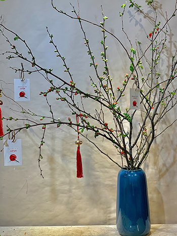 Chục triệu đồng một bình hoa đào Nhật chơi Tết