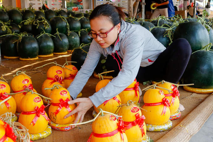 Dưa 'khổng lồ' chưng Tết