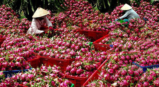 Bên kia biên giới tê liệt, hàng triệu người Việt chịu tổn thất lớn