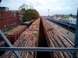 Lãnh đạo hải quan Odessa được bổ nhiệm trước đây từng là đối tượng trong vụ án buôn lậu